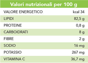 Melone Gialletto