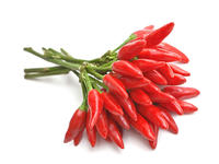 Peperoncino Rosso Piccante (mazzo)