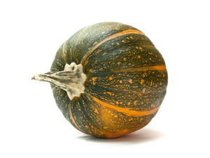 Zucca Delica selezione