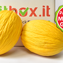 Dolce e dissetante il nostro melone giallo