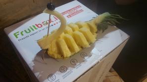 Preziosa collaborazione tra Fruitbox.it e Intrabar Academy